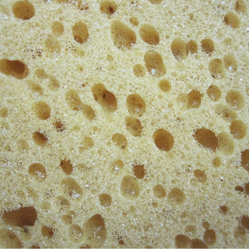 Eiger Extra Large Sponge No. 1