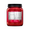 BSN N.O.-XPLODE Pre Workout Supplement with Creatine, Beta-Alanine, and Energy,