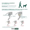 Ortocanis - Knee Brace for Dogs with Ligament Rupture and