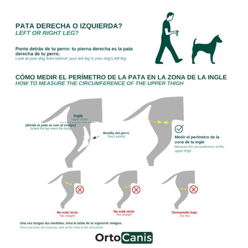 Ortocanis - Knee Brace for Dogs with Ligament Rupture and