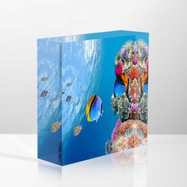 NOHSHE Desktop Decoration Fish At The Bottom of The Ocean Acrylic Women Congratulations Gifts Appreciation Gifts for Coworkers Thank You Gifts Gift for Boss Female, 4x4x1inch