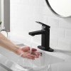 Matte Black Single Handle Basin Faucet for Bathroom & Laundry