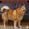 FINNERO Brenda Reusable Dog Diaper, Leak-Proof, Adjustable, Heat & Incontinence
