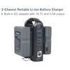 Beillen Dual Channel V-Mount/V Lock Battery Charger Compatible with All