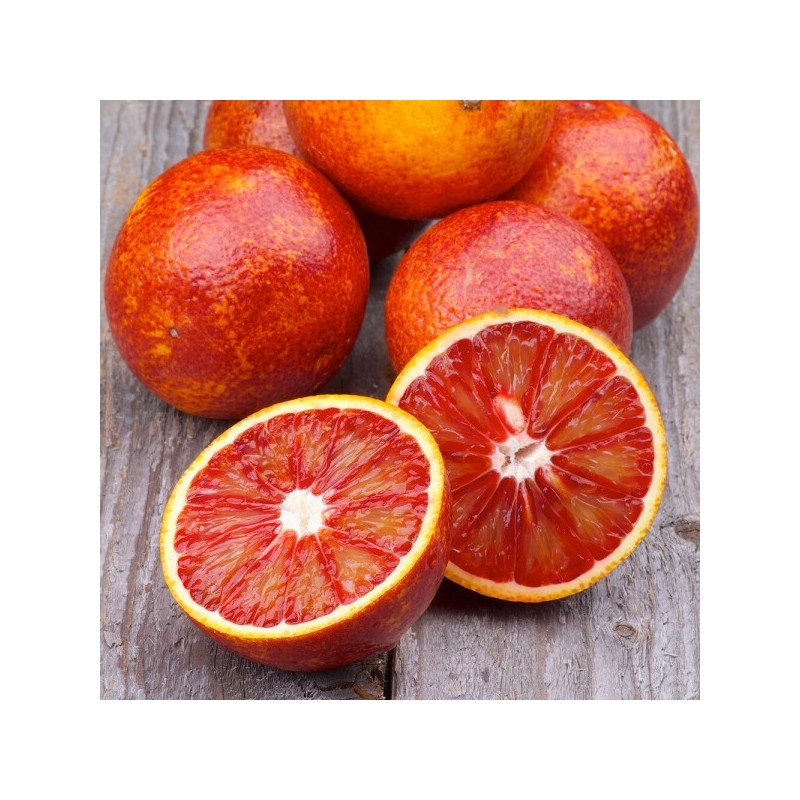 Moro Blood Orange Extract Powder Morosil Powder 200g 1ea /