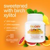 Xylichew Xylitol Gum - Chewing Gum Sugar Free, Aspartame Free,
