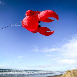 In the Breeze 5230 — Crab Big Breeze Windsock™ — Large, 3D Beach Windsock for Yards, Gardens, Patios