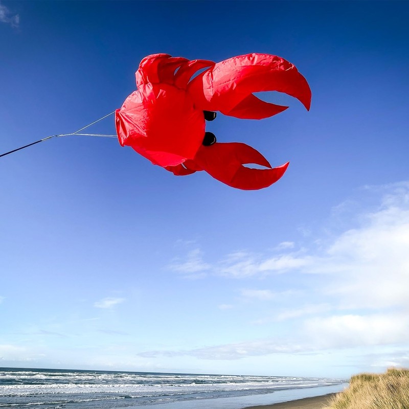 In the Breeze 5230 — Crab Big Breeze Windsock™ —