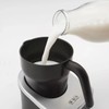 Capresso froth PRO Automatic Milk Frother, Cold,Warm,Hot-