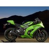 Dragons Crotch Rocket Full Color Decal, Bike Side Graphics, Dragon