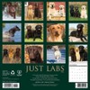 Labs 2026 12" x 12" Wall Calendar