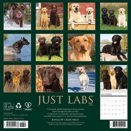 Labs 2026 12" x 12" Wall Calendar