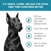 Ketona Salmon Recipe Adult Dry Dog Food, Natural, Low Carb