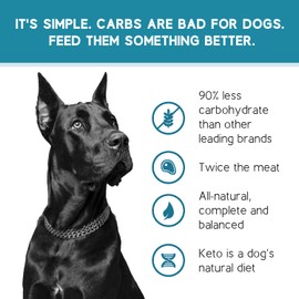 Ketona Salmon Recipe Adult Dry Dog Food, Natural, Low Carb (Only 5%), High Protein (46%), Grain-Free, The Nutrition of a Raw Diet with The Cost and Convenience of a Kibble; 4.2 lb