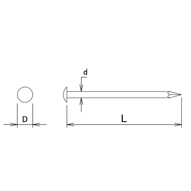 DAIDOHANT 10186664 Stainless Steel Round Head Straight Nails (Body Diameter