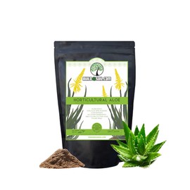 BuildASoil Horticultural Aloe (1 Ounce)
