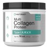 Aminoacidos Colageno Tipo I Ii Iii V X - 45 Servicios Eg U6 Sabor Sin Sabor