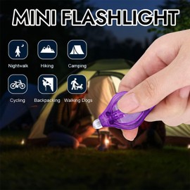 LIAISIMI LED UV Keyring Torch Mini LED Key Ring Light Portable Keychain Torch Black Light UV Urine Detector for Dogs (10 Pieces Purple)