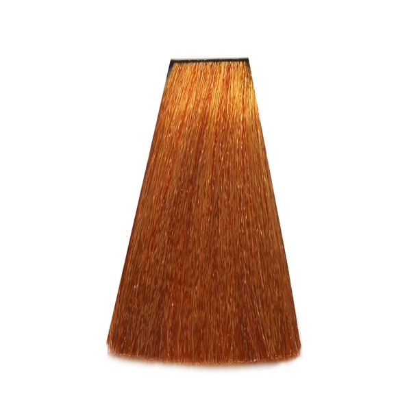 Arual Collection 8.44