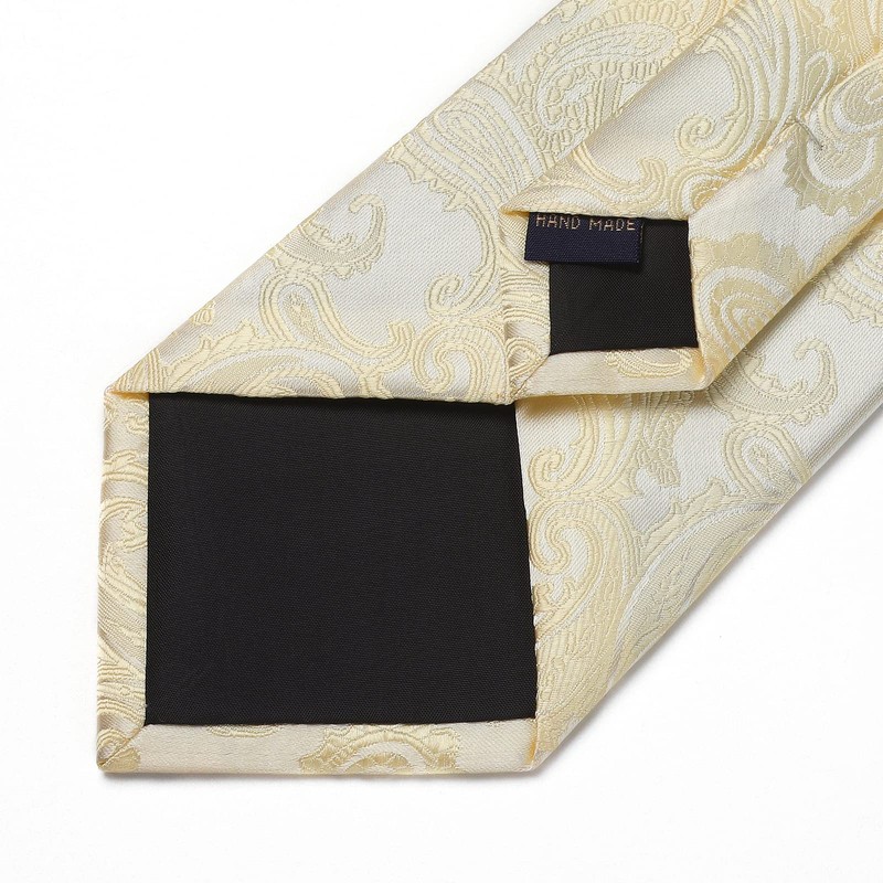 HISDERN Men's Wedding Ties and Pocket Square, Paisley Tie Set,