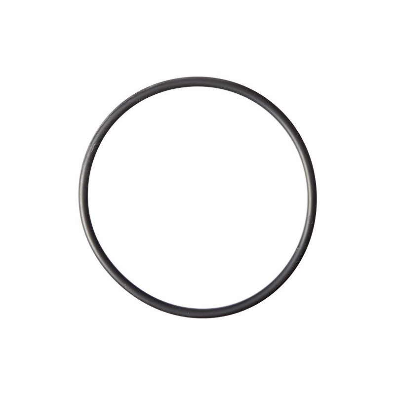 Hayward OEM SPX3200S O-ring Strainer Cover Replacement for Hayward Tristar