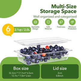 HNEDSEN 6 Pack Plastic Food Pan with Lid 1/3 Size 2.5 Inch Deep Restaurant Clear Food Storage Containers Polycarbonate Commercial Hotel Pans for Fruits Vegetables Beans Corns (6 PCS, 2.5'' Deep)