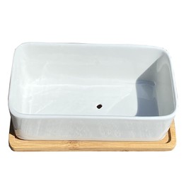 Selections White Succulent Trough Pot, Outdoor, Small