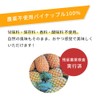 アビオス 酵素パワープラス 20包 パイナップル 酵素