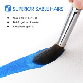 Sable Watercolor Brushes for Floral Painting Techniques, Fuumuui 6PCs Kolinsky Sable Brush Set with Dagger Round Pointed Liner Filbert Perfect for Petals Watercolor Gouache Inks Painting