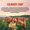 Fluker's Culinary Coop Canned Soldier Worms Chicken Treat, All Natural