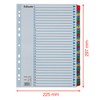 Esselte Mylar 1-31 Part A4 Dividers - Multicoloured