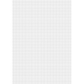 Brunnen Brunnen 102100850 Kanzlei-Papier / Kanzleibogen (A4, kariert, 80 g/m², 50 Blatt eingeschweißt)