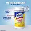 Lysol Disinfectant Wipes Multi-Surface Antibacterial Cleaning Wipes, Dorm Room Essentials