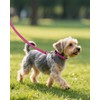 Joytale Small Dog Collar, Reflective and Adjustable Nylon Collar with