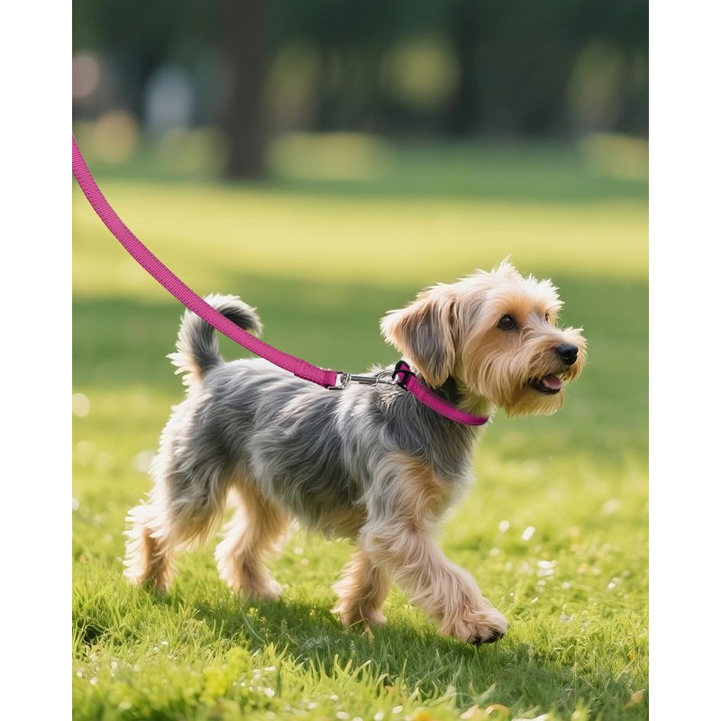 Joytale Small Dog Collar, Reflective and Adjustable Nylon Collar with
