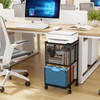 Sbanmao Rolling File Cart with 2 Storage Drawers, Under Desk