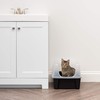 IRIS USA Large Open Top Cat Litter Box with High