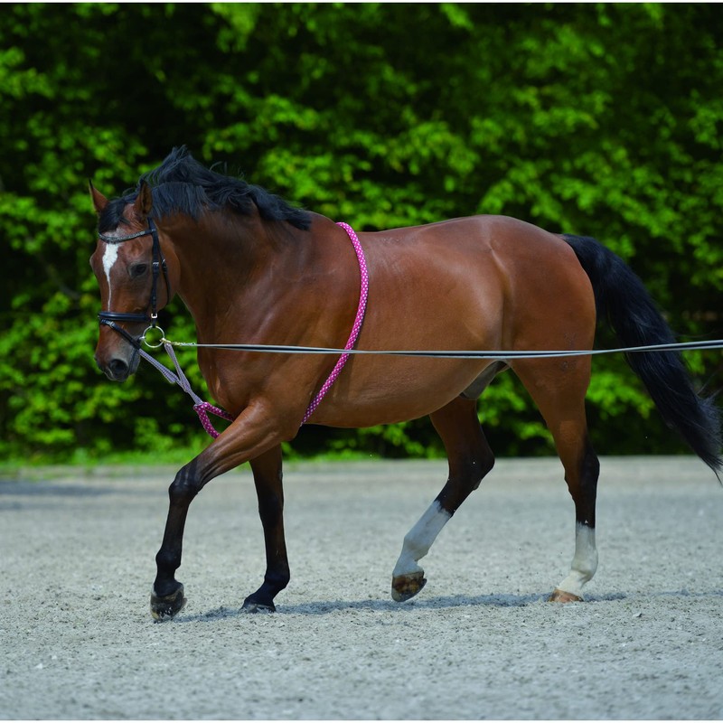 WALDHAUSEN Lunging Aid, Black, Pony, PON, Black