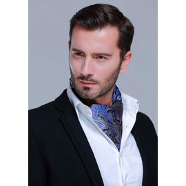 HISDERN Men's Tie Scarf Wedding Dot Neckerchief Paisley Business Ascot Tie and Pocket Square Set, Blue Yellow