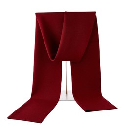 surrylake Mens Winter Scarf Soft Warm Long Cashmere Scarf Long Stylish Solid Color Scarves for Men (burgundy)