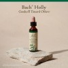 Bach Original Flower Remedy Holly 20ml Emotional Wellness Natural Essence