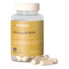 Focus Nootropicos Melena De Leon Bacopin L Glutamina Moods