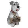 Adorable Grey Schnauzer Dog Sitting With Jingle Collar Greetings Sign