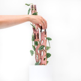 Treleaf - Zella Regular Starter Kit- Wooden Extendable Plant Support for Houseplants | Trellis | Moss-pole alternative | Cedar plank support | 2 X Base + 2 X Extensions | 1.5" wide
