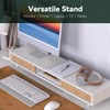 WELL WENG Dual Monitor Stand Riser with Sliding Door, Double