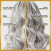 L'Oreal Paris Le Color Gloss One Step In-Shower Toning Hair