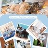 Seyezo Lightweight Cat Cone Collar Soft, Soft Comfortable Cat Recovery
