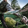 ANGRYFISH 4 Strands Super Strong Braided Fishing Line- Less Expensive