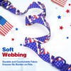 BiPawTi American Flag Dog Collar with Bowtie, 4th of July