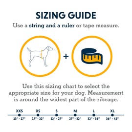 Ruffwear, Powder Hound Insulated, Water Resistant Cold Weather Jacket for Dogs, Aurora Teal, Large